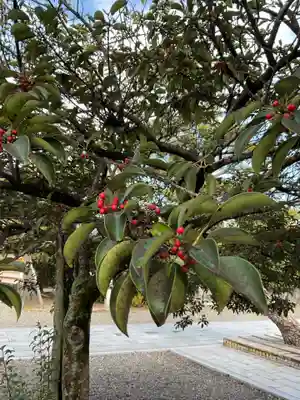 田縣神社(愛知県)