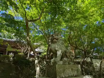 勝持寺（花の寺）(京都府)