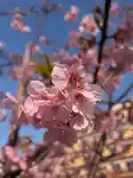 繁榮稲荷神社(東京都)