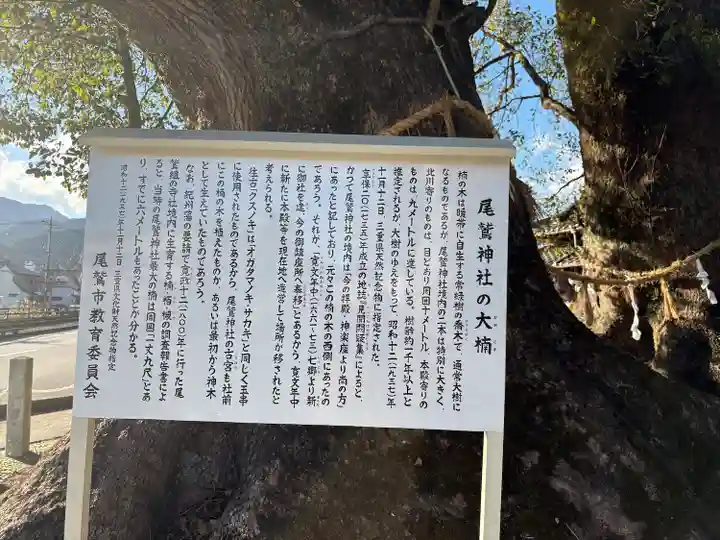 尾鷲神社(三重県)