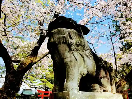 八坂神社の狛犬