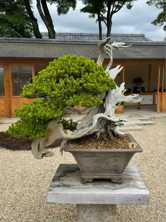 芳春院(京都府)