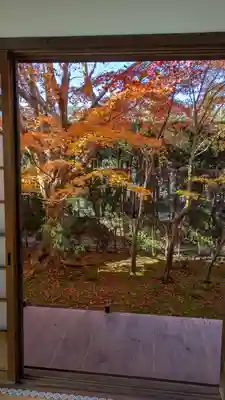 源光庵(京都府)