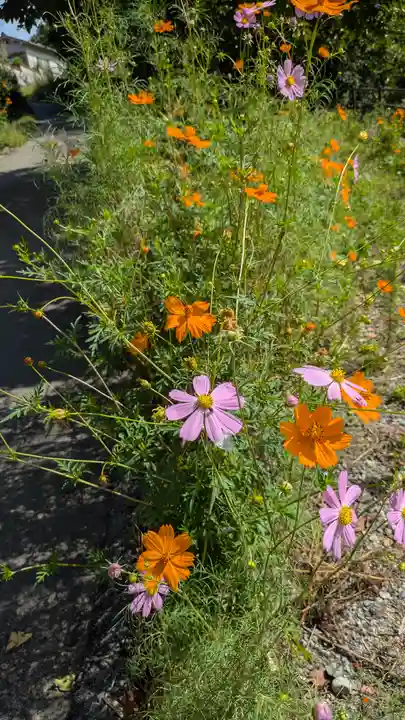 西願寺(廃寺)(京都府)