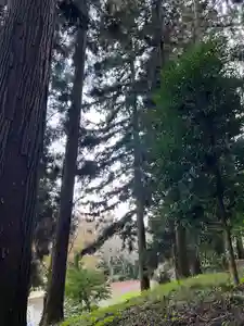 大宮温泉神社(栃木県)(2023年11月04日(土) 06時44分16秒投稿)