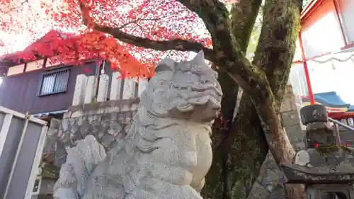 御霊神社(京都府)