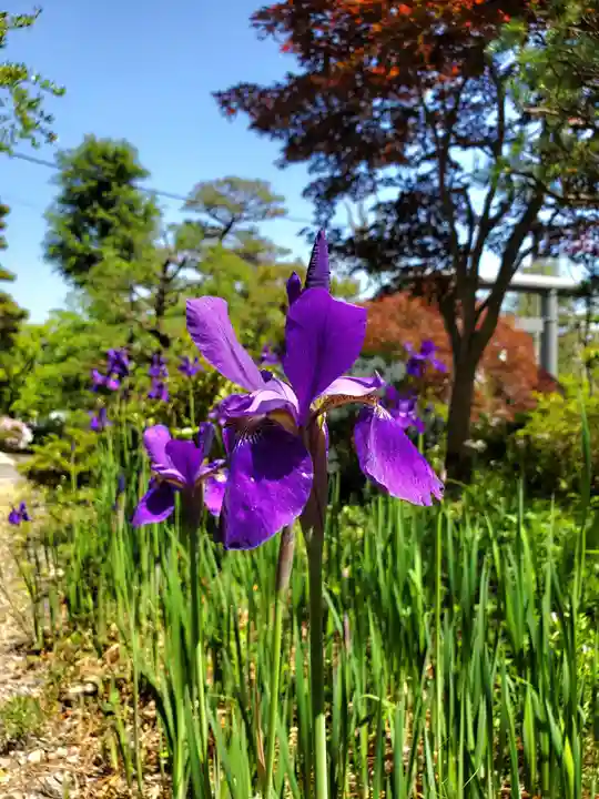 開成山大神宮(福島県)