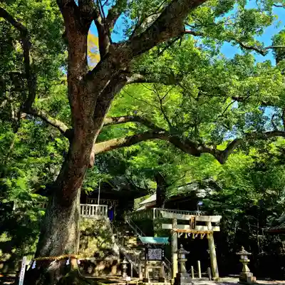 事任八幡宮(静岡県)