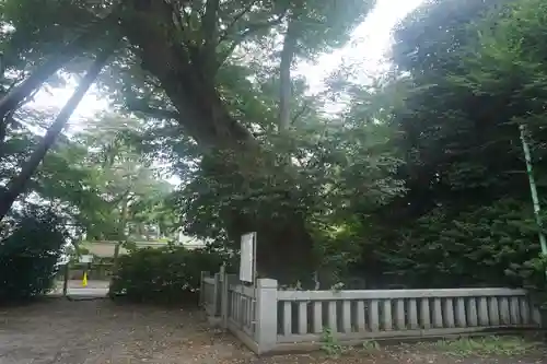 青渭神社のその他建物
