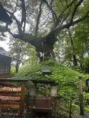 熊野皇大神社(長野県)