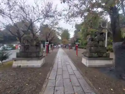 鷲宮神社(埼玉県)