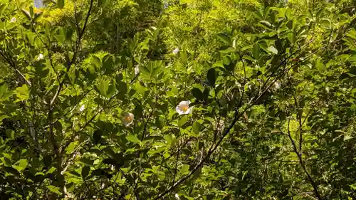 東林院(京都府)