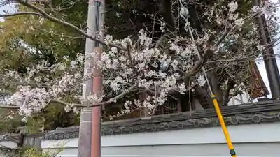 後白河院御聖蹟　法住寺(京都府)