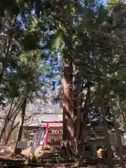 磐椅神社(福島県)