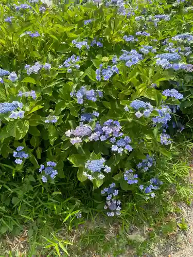 豊景神社(福島県)