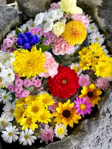 伊達神社の手水舎