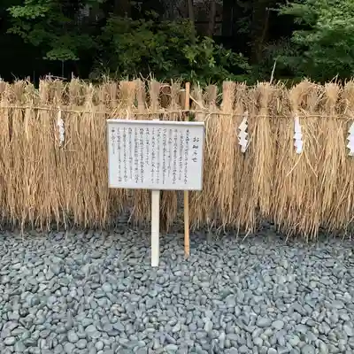 東京大神宮(東京都)