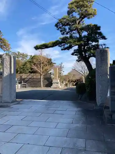 善福寺の山門