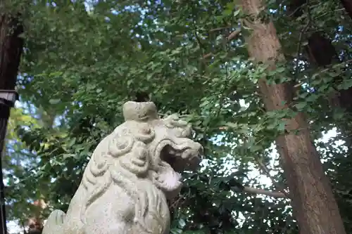 糀谷八幡宮の狛犬