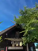 龍宮神社(北海道)