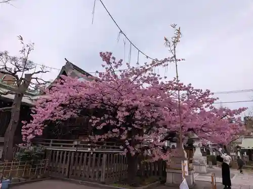 新宿下落合氷川神社(東京都)