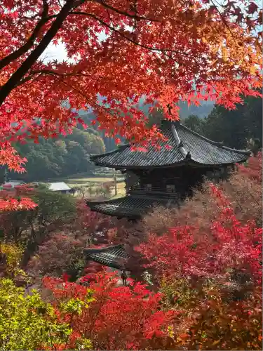 常樂寺(滋賀県)