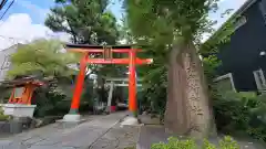 馬橋稲荷神社の鳥居