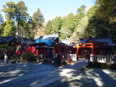 箱根神社(神奈川県)