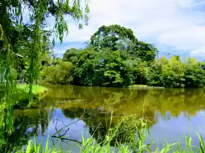 菊田神社の周辺