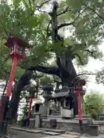 若一神社(京都府)