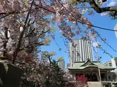 難波神社の自然