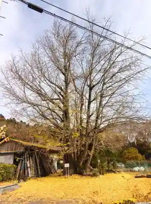 長言寺(埼玉県)