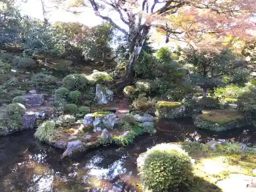 実光院の庭園