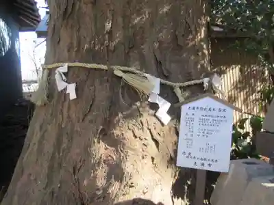 八坂神社(茨城県)