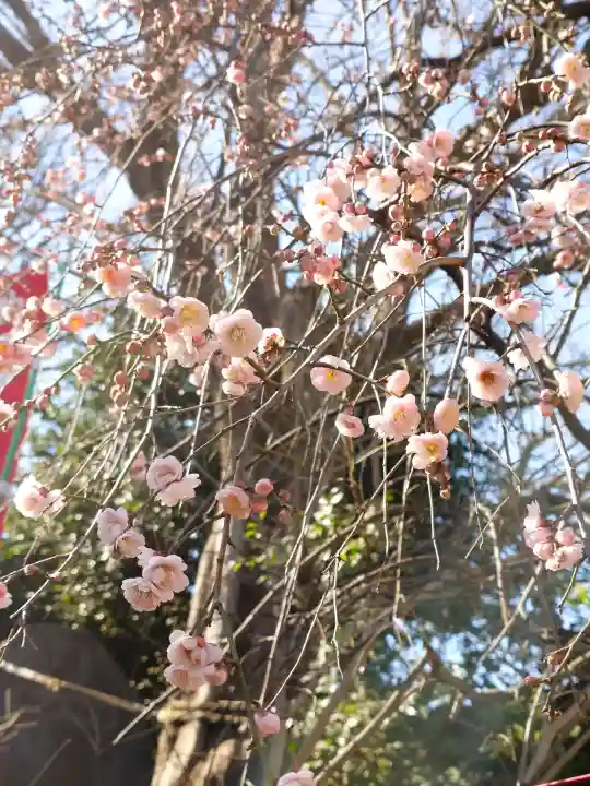 弘明寺の{uncategorized: "未分類", other: "その他", undefined: "問題あり", building: "その他建物", grave: "お墓", sacred_gate: "鳥居", guardian: "狛犬", statue: "像", buddha: "仏像", history: "歴史", nature: "自然", garden: "庭園", animal: "動物", pagoda: "塔", temizu: "手水舎", mountain_gate: "山門・神門", sanctuary: "本殿・本堂", subordinate: "末社・摂社", art: "芸術", scenery: "景色", jizo: "地蔵", ema: "絵馬", goshuin: "御朱印", omikuji: "おみくじ", items: "授与品その他", amulet: "お守り", goshuincho: "御朱印帳", eats: "食事", festival: "お祭り", votive_dance: "神楽", shichigosan: "七五三参", wedding: "結婚式", experience: "体験その他", initially: "初詣", around: "周辺", anti_infection: "感染症対策"}