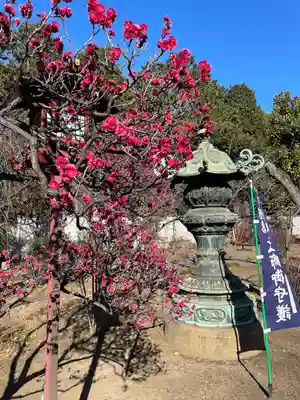 寛永寺開山堂(東京都)