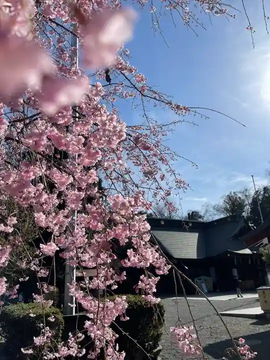 大國魂神社の自然