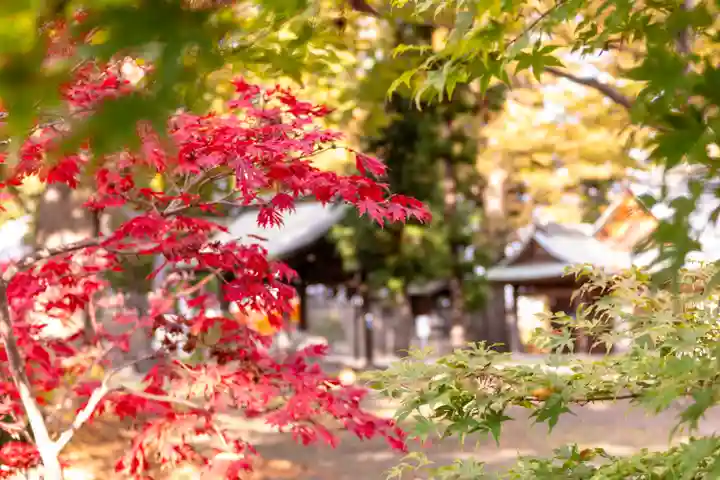 武水別神社(長野県)