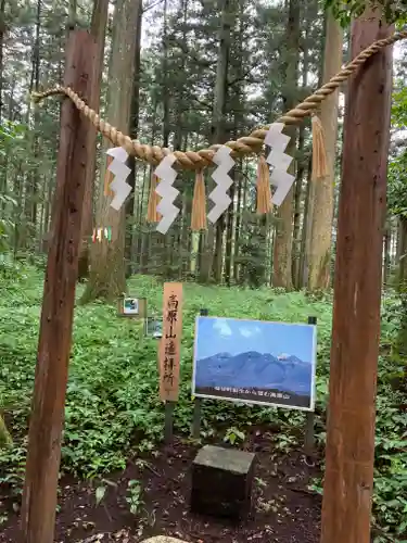 岩戸別神社の自然