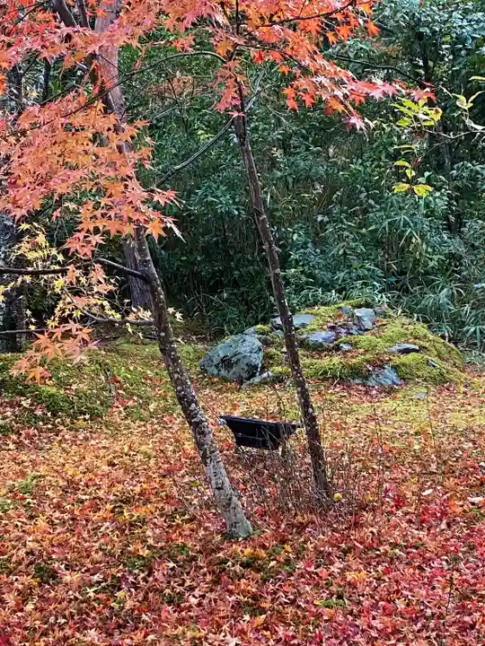 宝厳院(京都府)
