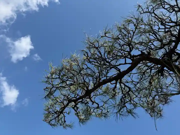 西方山極楽寺(岐阜県)