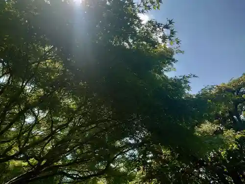 龍安寺(京都府)