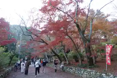 毘沙門堂門跡のその他建物