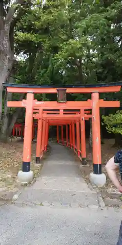 橿原神宮(奈良県)