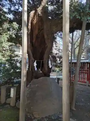 金王八幡宮(東京都)