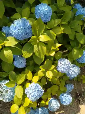 石母田　三吉神社(福島県)