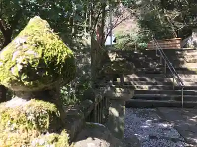 柞原八幡宮(大分県)