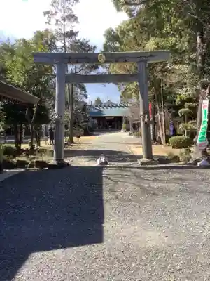 玉鉾神社の鳥居