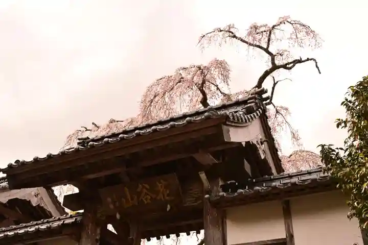 法蓮寺(愛媛県)