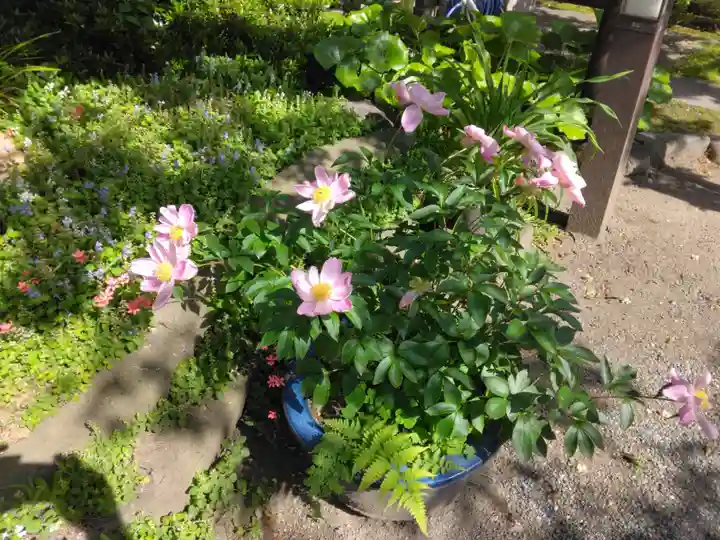 補陀洛寺(神奈川県)